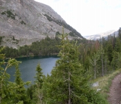 Montana 09 392